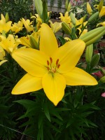 [5054 Barasso No02.JPG]